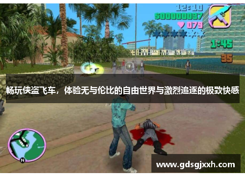 畅玩侠盗飞车，体验无与伦比的自由世界与激烈追逐的极致快感
